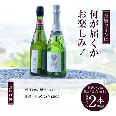 勝沼ぶどうの丘推奨スパークリングワイン辛口2本セット B2-604