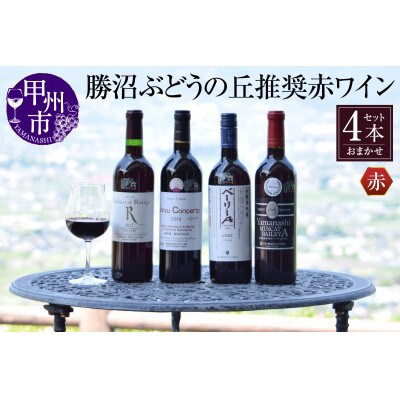 勝沼ぶどうの丘推奨赤ワイン4本セット D-604