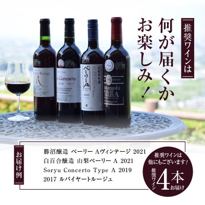 勝沼ぶどうの丘推奨赤ワイン4本セット D-604