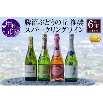 勝沼ぶどうの丘推奨スパークリングワイン6本セット(KBO)F-603