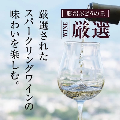 勝沼ぶどうの丘推奨スパークリングワイン6本セット(KBO)F-603