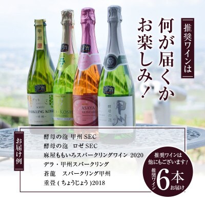 勝沼ぶどうの丘推奨スパークリングワイン6本セット(KBO)F-603