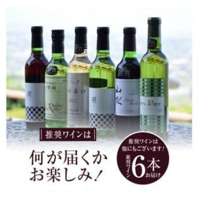勝沼ぶどうの丘推奨ワイン シーズンオリジナル6本セット F-605