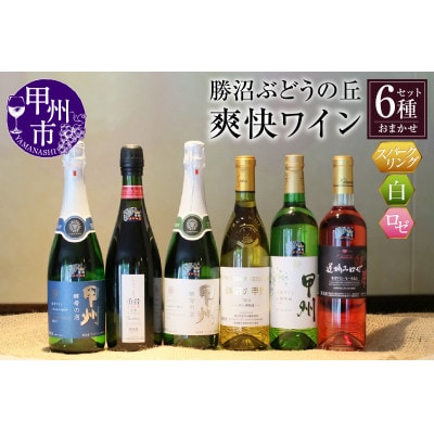 爽快ワイン6種セット　E-603