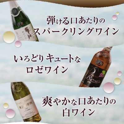 爽快ワイン6種セット　E-603