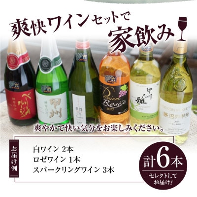 爽快ワイン6種セット　E-603