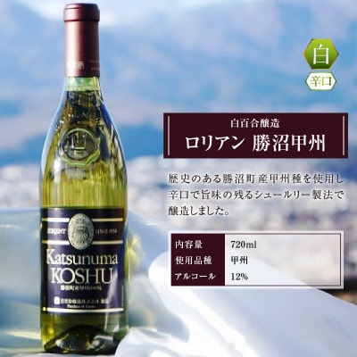 勝沼ぶどうの丘推奨・勝沼ボトルワイン4本セット D5-603