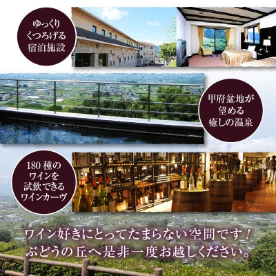 シャトー・メルシャン城の平オルトゥス2019　赤ワイン　750ml×1(KBO)J5-601