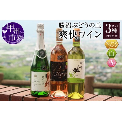 爽快ワイン3種セット C-662