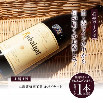 勝沼ぶどうの丘推奨一升瓶ワイン　1.8L×1本(KBO)B-650