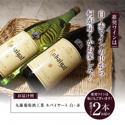 勝沼ぶどうの丘推奨一升瓶ワイン おまかせ赤白2本セット　1.8L×2本(KBO)C-650