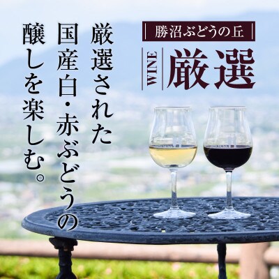 勝沼ぶどうの丘推奨一升瓶ワイン おまかせ赤白2本セット　1.8L×2本(KBO)C-650