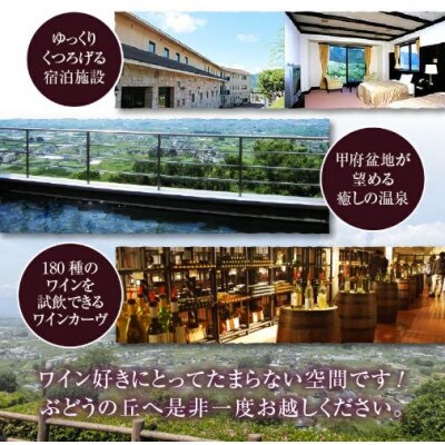 マンズワイン香紫&しふくセット　F5-601