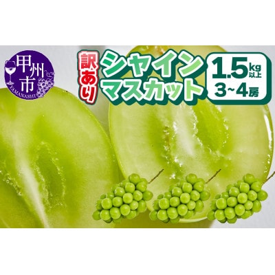 【2025年先行受付】【訳あり】シャインマスカット 1.5kg以上(3～4房)