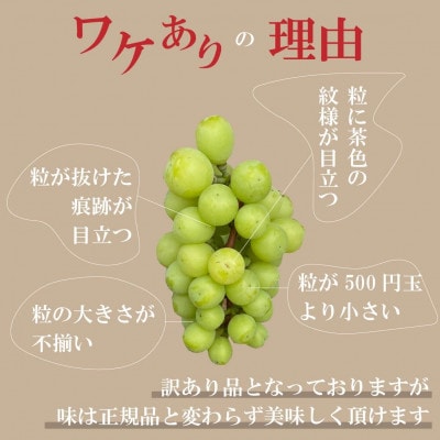 【2025年先行受付】【訳あり】シャインマスカット 1.5kg以上(3～4房)