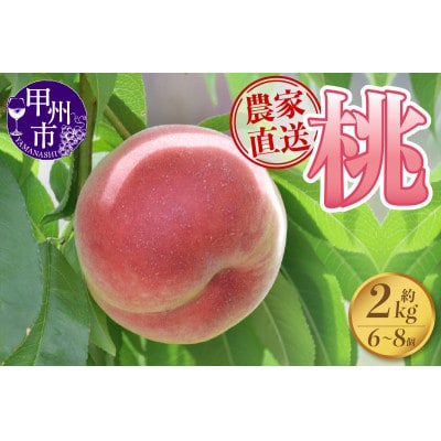 【2025年発送】さんちゃんファームの桃約2kg(6玉～8玉)B-151