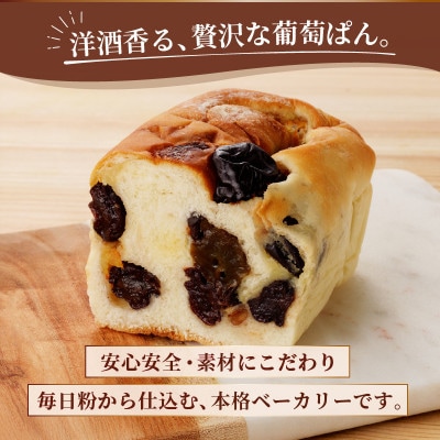 大人の葡萄ぱん　1個　贈答用にもおすすめ♪