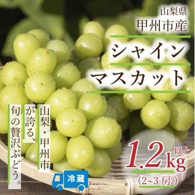 山梨県甲州市産 シャインマスカット計約1.2kg / Inakakara