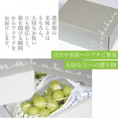 山梨県甲州市産 シャインマスカット計約1.2kg / Inakakara
