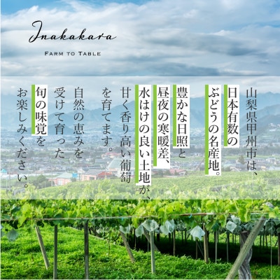 山梨県甲州市産 シャインマスカット計約1.2kg / Inakakara