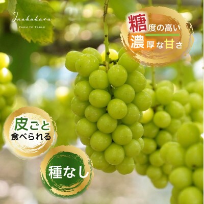 山梨県甲州市産 シャインマスカット計約2.4kg / Inakakara