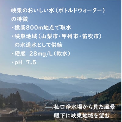 峡東のおいしい水　500ml×24本