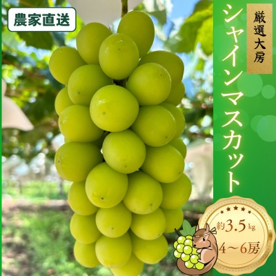 厳選大房シャインマスカット　秀品　4～6房 約3.5kg【2026年発送】　贈答用にもお勧めです!