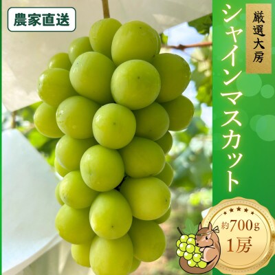 厳選大房シャインマスカット　秀品　1房 約700g【2026年発送】　贈答用にもお勧めです!