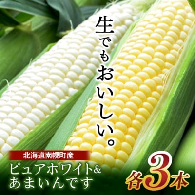 令和7年発送 北海道産 とうもろこし ピュアホワイト3本&あまいんです3本 計6本