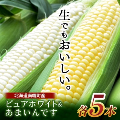 令和7年発送 北海道産 とうもろこし ピュアホワイト5本&あまいんです5本 計10本