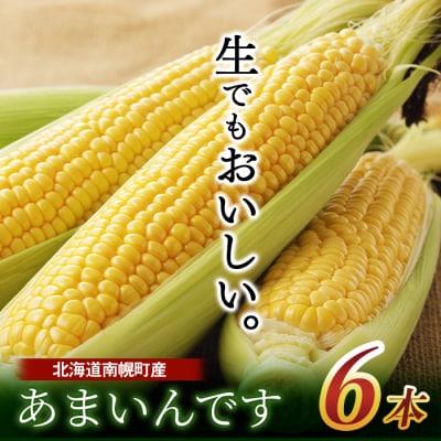 令和7年発送 北海道産 とうもろこし あまいんです 6本 /朝採れ 一番果