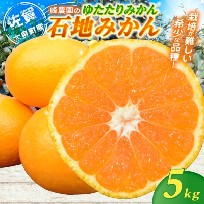 峰農園のゆたたりみかん【石地みかん】  5kg　M87