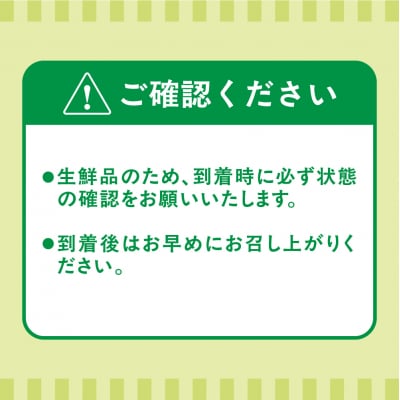 【ギフト】キウイフルーツ「博多甘うぃ」約1.4kg化粧箱入り【ほたるの里】_HA0943