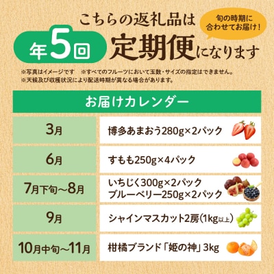 【定期便/年5回】JAむなかた厳選!人気フルーツ定期便【JAむなかた ほたるの里】_HB0164