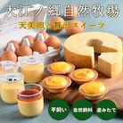 大江ノ郷セット