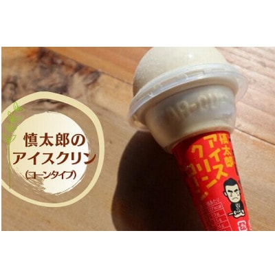 慎太郎アイスクリンコーン10個