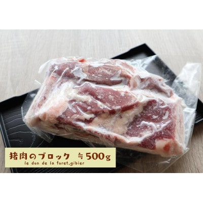 いのしし肉(ブロック)約500g【土佐の里山グループLLC】