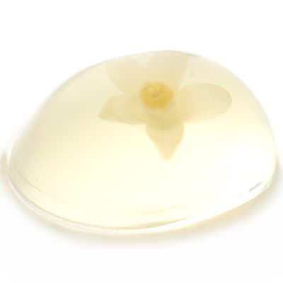 【熨斗付き】柚華ゼリー12ヶ入[UJ-12]【池田柚華園】