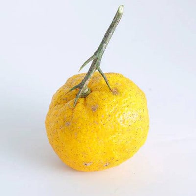 北川村ゆず果汁「実生」300ml×3本