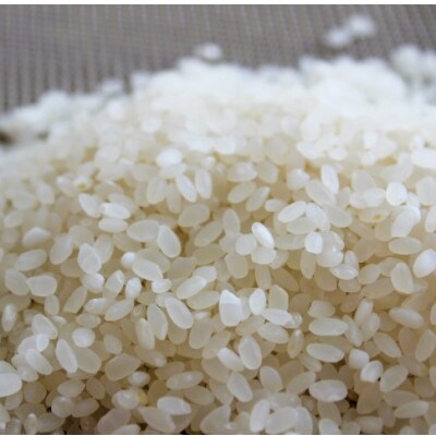 北川村の米《維新の風》[5kg×3袋]