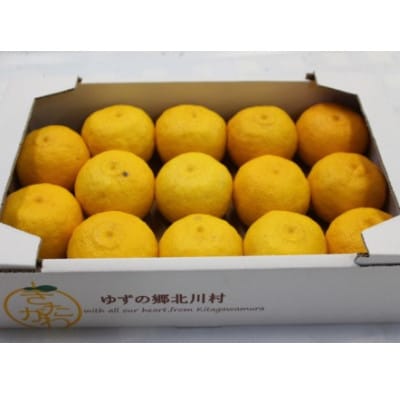 【12月発送】ゆず農家直送!北川村のゆず玉　1箱(約12個～16個)
