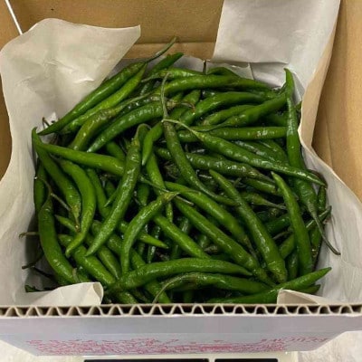【冷凍】北川村の青唐辛子1kg(2026年産)