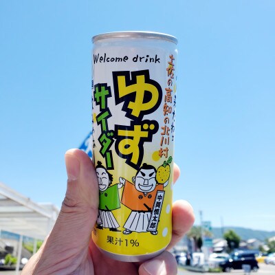 【毎月定期便】ゆずサイダー30本/1ケース全3回