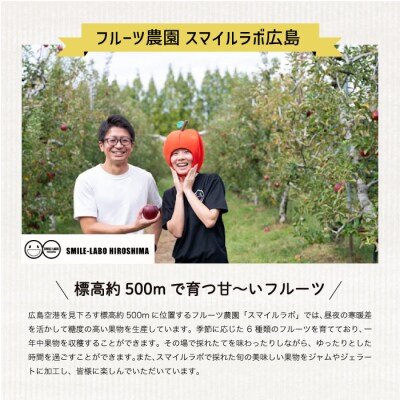 【先行受付】ふじりんご 5kg(2025年10月頃より順次発送)[059-012]
