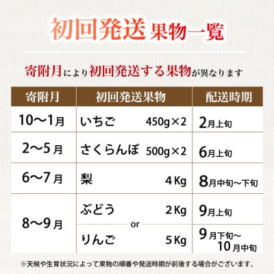 【5回お届け】旬のフルーツ定期便(大)いちご・さくらんぼ・梨・ぶどう・りんご[059-014]