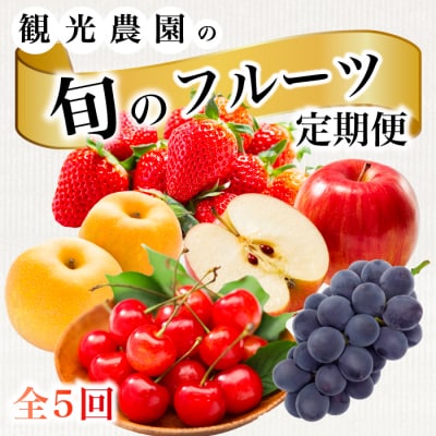 【5回お届け】旬のフルーツ定期便(小)いちご・さくらんぼ・梨・ぶどう・りんご[059-021]