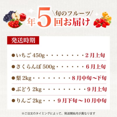 【5回お届け】旬のフルーツ定期便(小)いちご・さくらんぼ・梨・ぶどう・りんご[059-021]