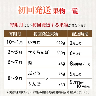 【5回お届け】旬のフルーツ定期便(小)いちご・さくらんぼ・梨・ぶどう・りんご[059-021]