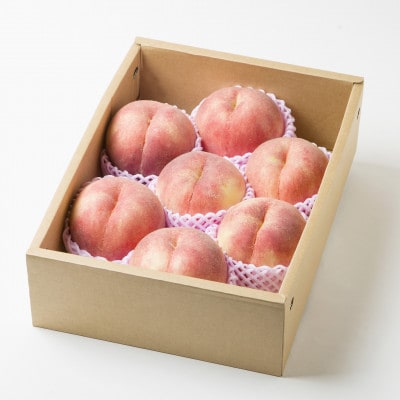 大玉固め さくら白桃 福島県伊達市産 約3kg(6～10玉)