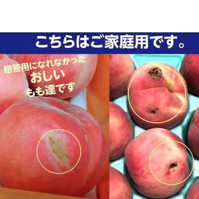伊達市産 家庭用 桃 約3kg 品種おまかせ(9～14玉)
